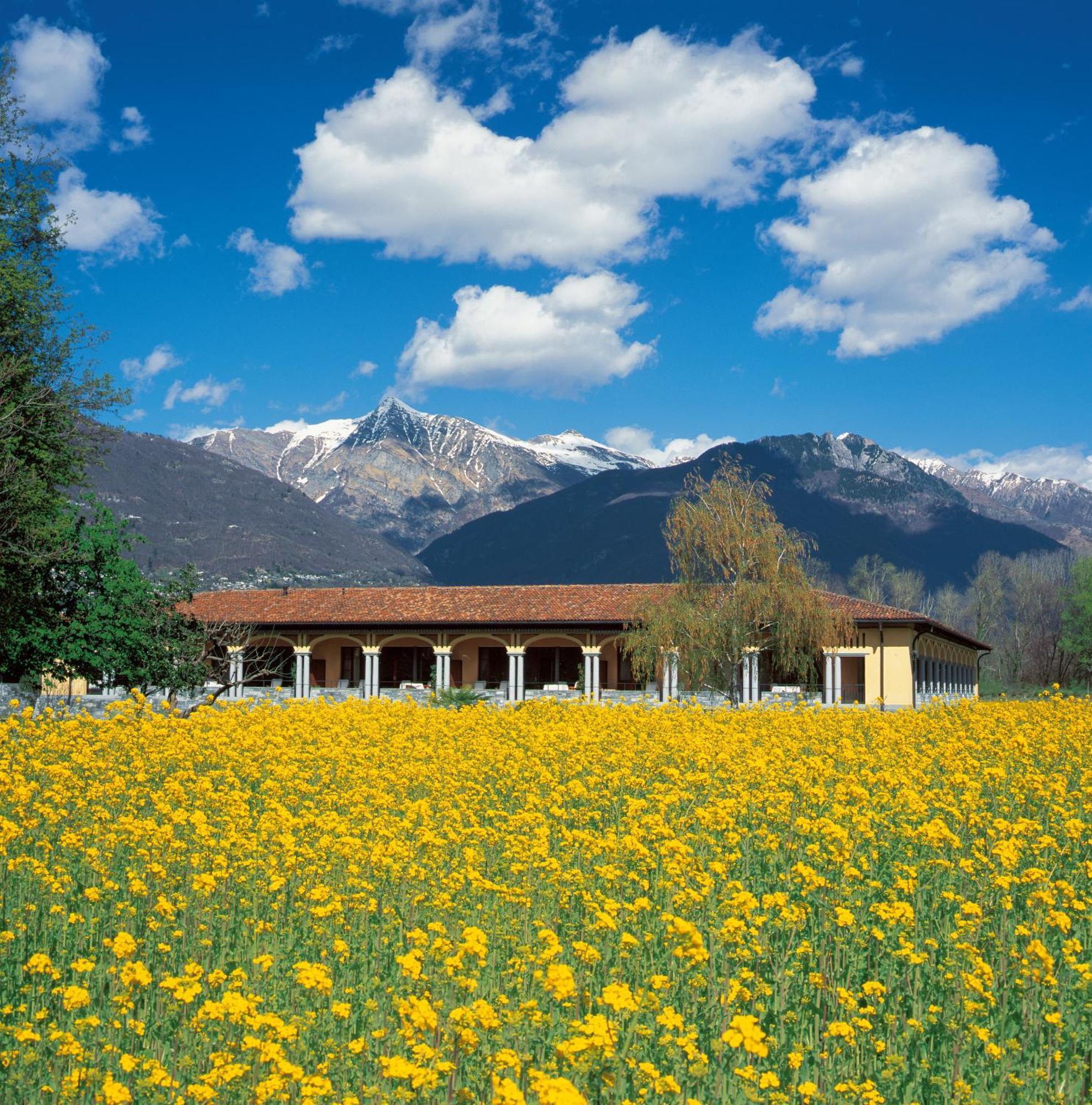 Suite Retreat Loggia